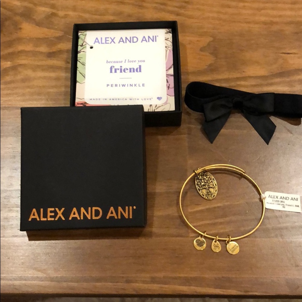 Alex and Ani - charm bracelet